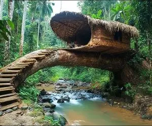 معماری خلاقانه؛ رو تنه خمیده درخت بامبو بهم گره زد خونه نقلی ساخت خزه چسبوند یخ نزنه