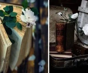 داستان شب؛ اگه می خوای یکم حال و هوات عوض شه با این داستان جذاااب زدی وسط خال!