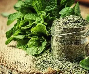 ترفندای خونگی خشک کردن سبزیجات؛ اینجوری طعم و عطر ناب شوید و نعناع یار غارته