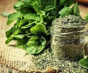 ترفندای خونگی خشک کردن سبزیجات؛ اینجوری طعم و عطر ناب شوید و نعناع یار غارته