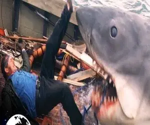 رازهای اعماق تاریک؛ فرار نفس گیر انسان اسیر در دل دریا از حمله هولناک کوسه‌ های گرسنه