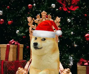 رونمایی از نقشه دوج کوین برای سال جدید؟