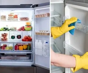 راهنمای نظافت اصولی یخچال / اینجوری گام به گام شروع کنی یه سوراخ سنبه کثیفم نمیمونه