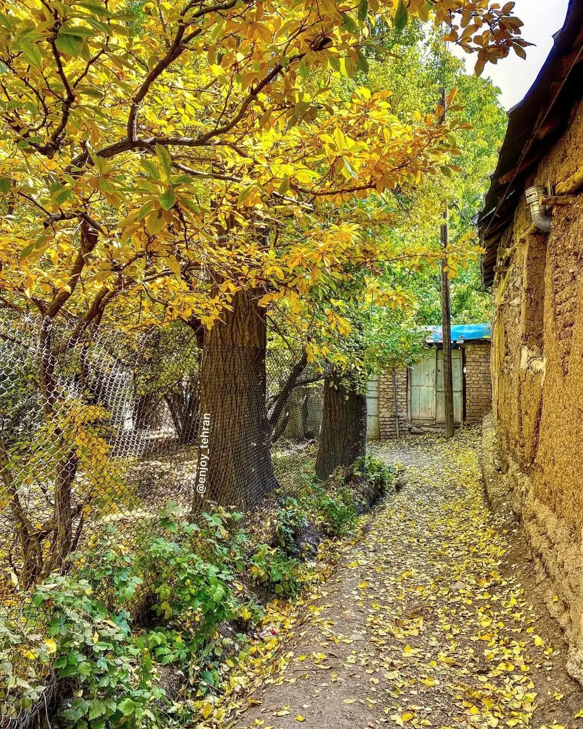 122913821_1824354327716564_7509809462040499618_n