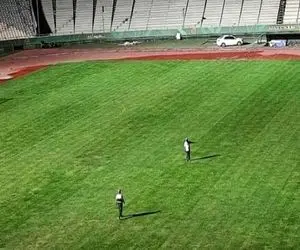 چمن ورزشگاه آزادی قارچ زده و دچار آفت است؟