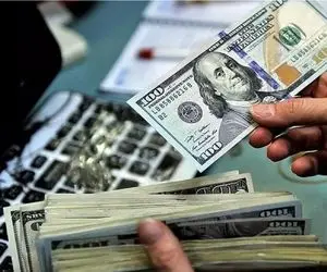 قیمت دلار امروز دوشنبه 21 اردیبهشت 1405؛ دلار حواله چند؟