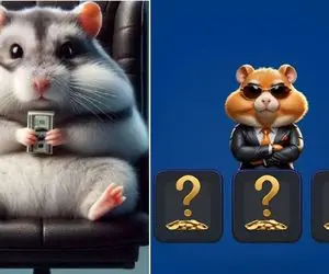 (عکس) کارت های همستر کامبت امروز یک شنبه 4 شهریور +آموزش وارد کردن  