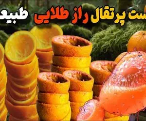 کشاورزی مدرن / ۲۰ هزار کیلو پوست پرتقال رو در جنگل ریختن و ۱۵سال بعد همه شوکه شدن