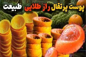 کشاورزی مدرن / ۲۰ هزار کیلو پوست پرتقال رو در جنگل ریختن و ۱۵سال بعد همه شوکه شدن