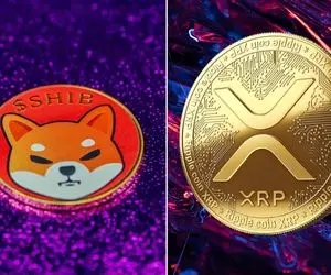 چند خبر دِبش رمزارزی از شیبااینو و ریپل!