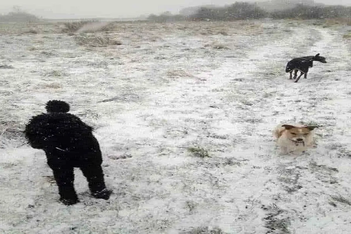 آزمون-برای-سنجش-دقت-بینایی-2