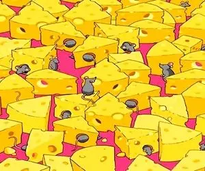 بازی فکری؛ ادعات میشه خیلی تیزبینی تاس رو بین پنیرا پیدا کن که خیلی ها نتونستن