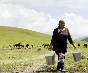 غذای عشایری ؛ خانومه شیر اسب رو دوشید و باهاش یه غذای عجیب درست کرد/ الاغه چرا ولو شده