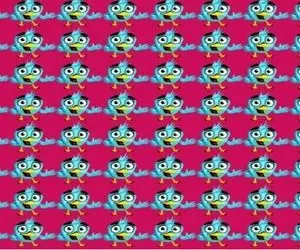 بازی فکری؛ عقاب خاک پاته اگه بتونی تو 6 ثانیه پرنده متفاوت رو پیدا کنی چون دید قوی میخواد