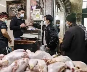 قیمت مرغ امروز چهارشنبه 7 مهر 1400