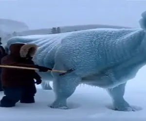 مستند حیات وحش؛ گاومیش یخ زده با چکش یخشو شکوند زنده شد