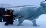 مستند کاوش؛ گاومیش یخ زده با چکش یخشو شکوند زنده شد