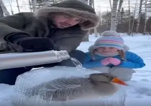 معماری طبیعت؛ با آب جوش شوک قلبی دادن به اردک فریز شده که مرده دوباره برگشت