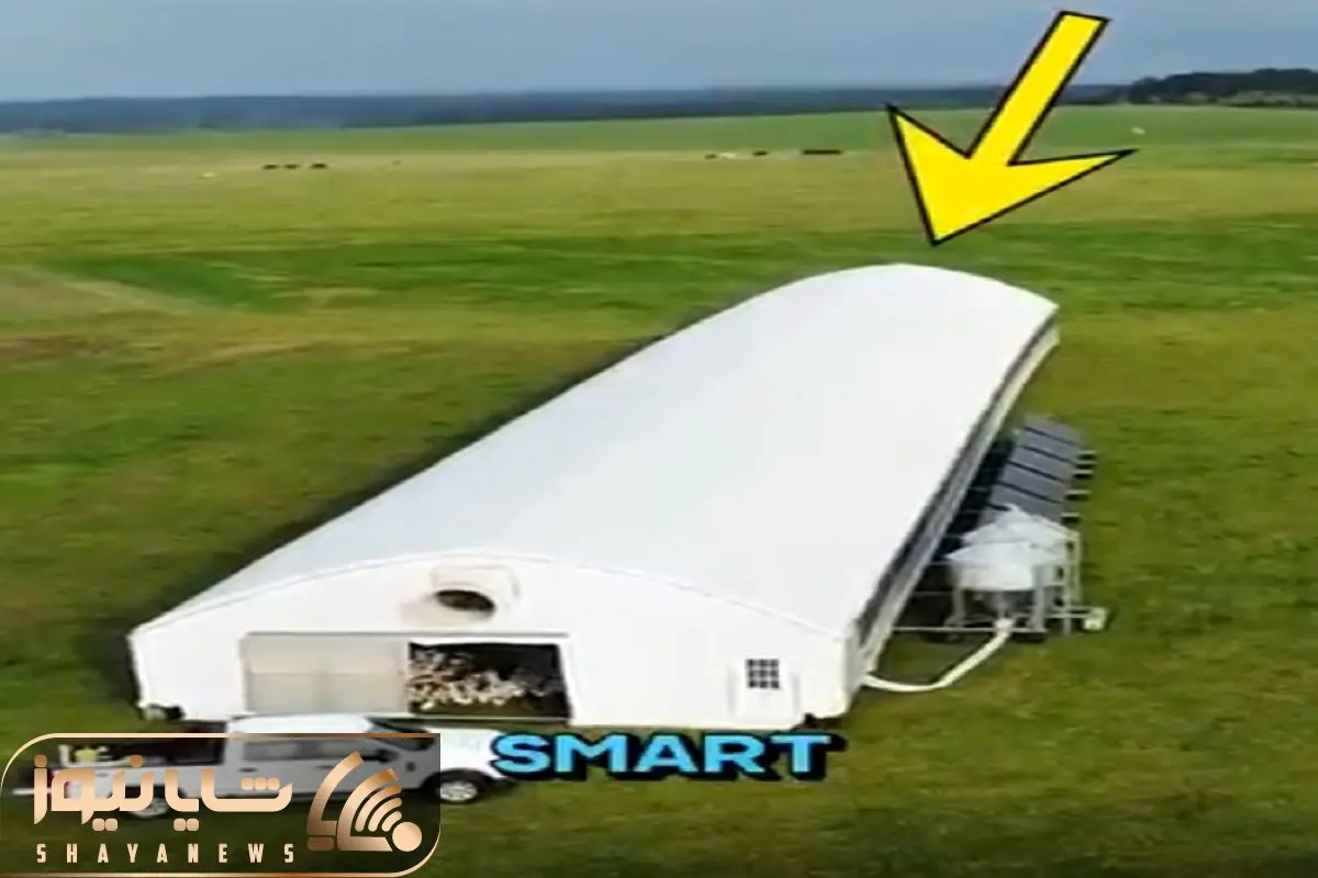 دامداری مدرن؛ آمریکا مرغداری متحرک ساخته با حرکت مرغا حرکت میکنه غذای تازه پیدا کنن