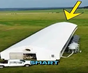 دامداری مدرن؛ آمریکا مرغداری متحرک ساخته با حرکت مرغا حرکت میکنه غذای تازه پیدا کنن