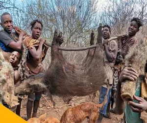 جنگجویان طبیعت؛ بربرهای برهنه با قمه سر و پوست گراز لاجون و کندن درسته بلعیدن