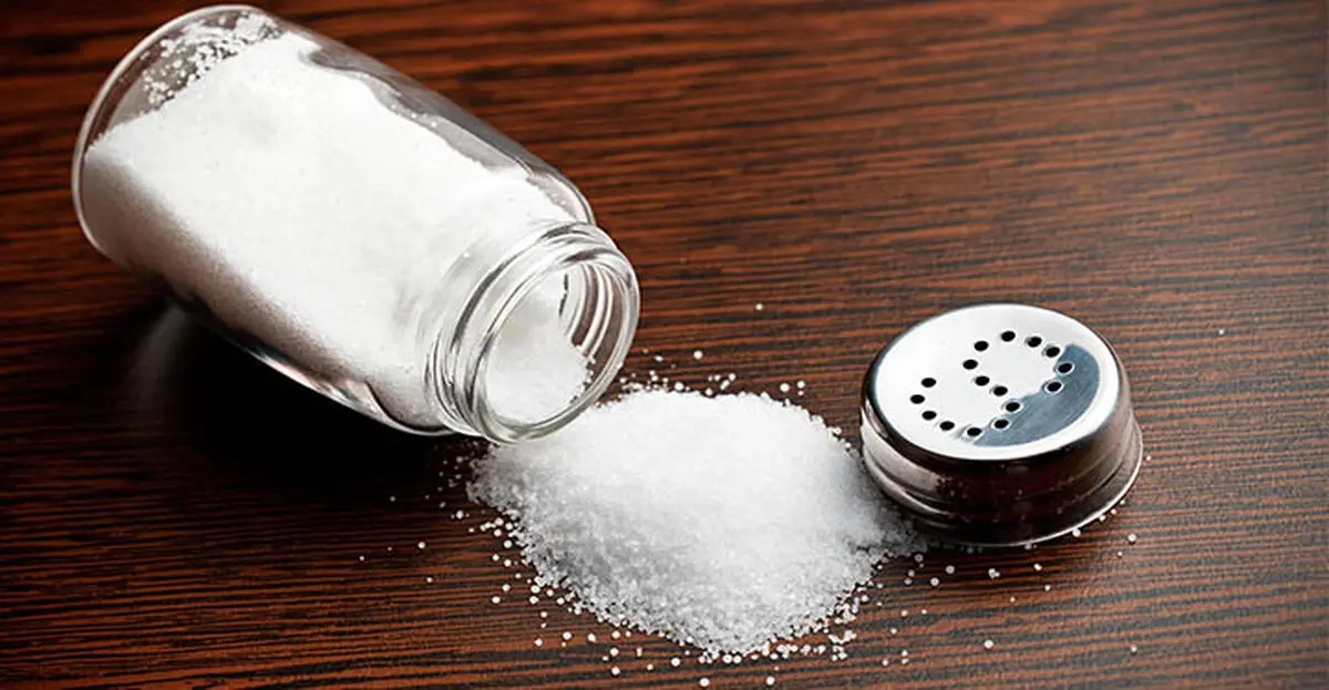 salt_fitshape