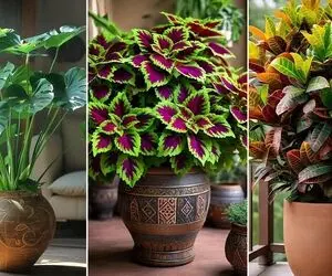 معرفی قشنگترین گیاهان آپارتمانی مناسب پاییز؛ با حال و هوای فصل دیزاین خونه عالی میشه