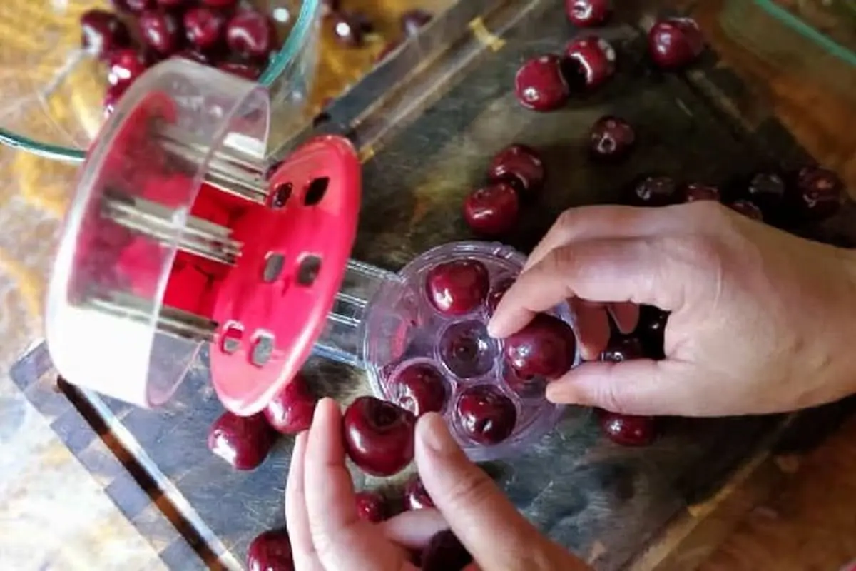 گرفتن-هسته-آلبالو-برای-تهیه-لواشک-آلبالو