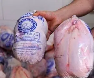 پرداخت یارانه به مرغ هم رسید؛ جزئیات و مبلغ یارانه جدید
