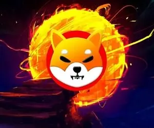 پیش بینی مهم و روند مارپیچی شیبااینو!