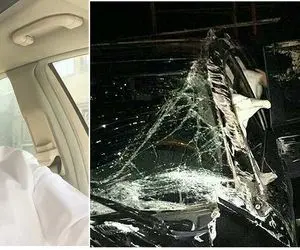 دارایی و ثروت مهرداد میناوند چقدر است؟