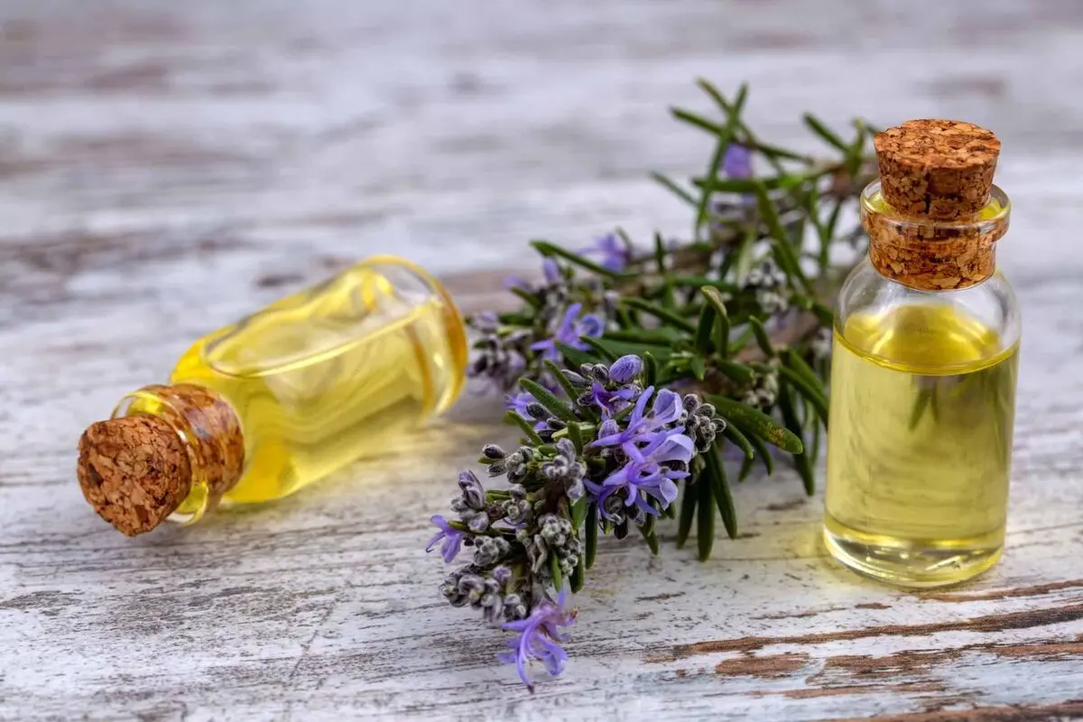 Rosemary oil