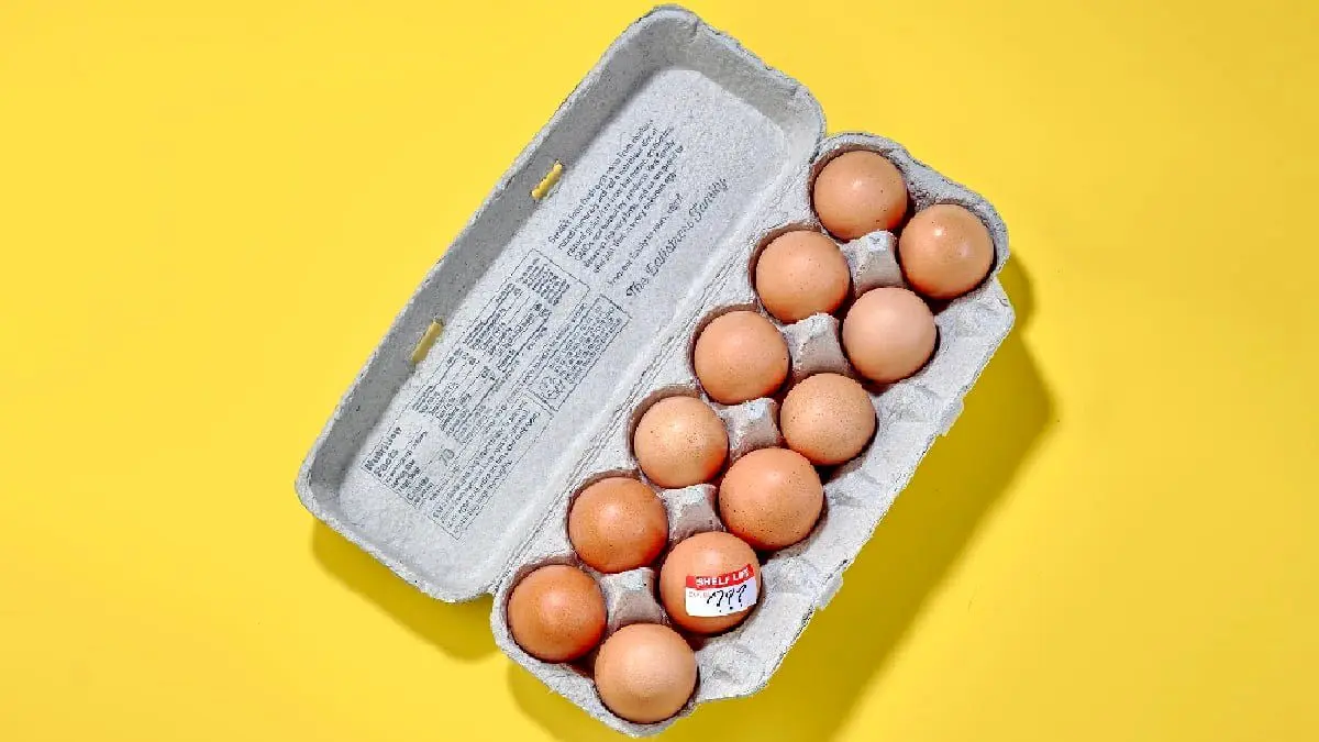 Identifying-healthy-eggs