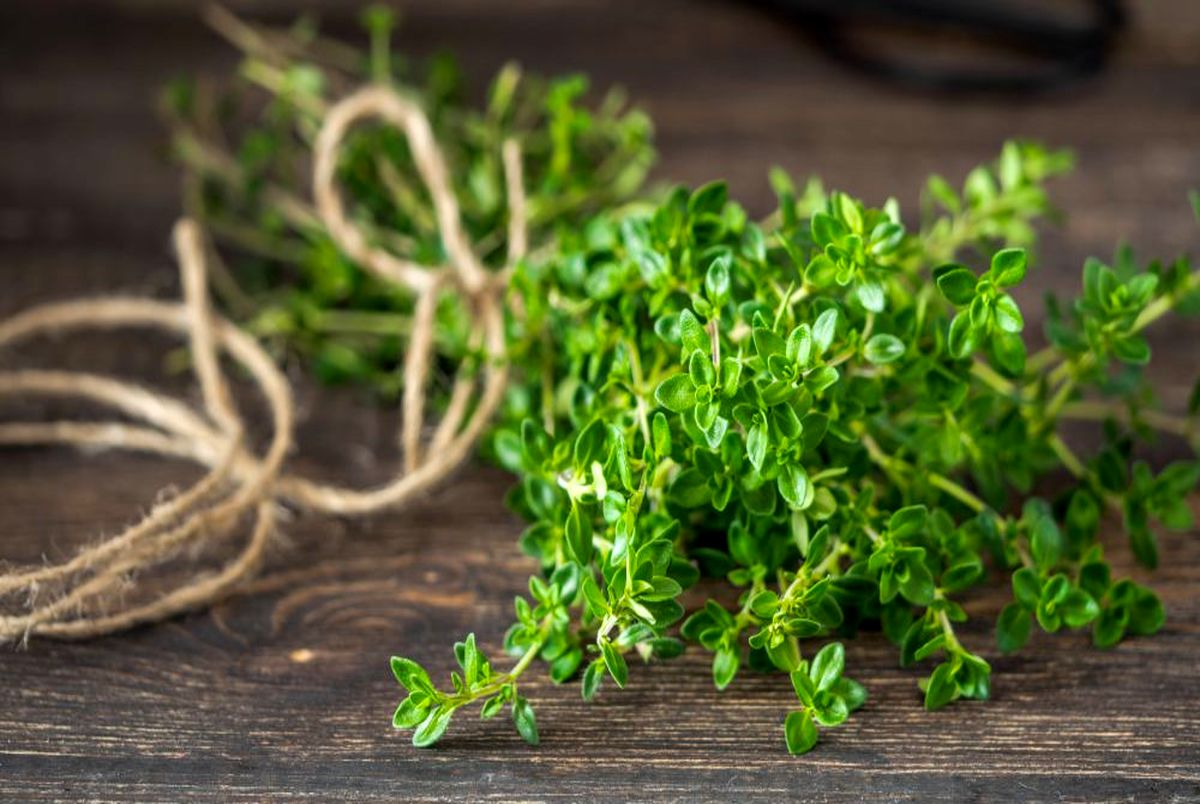 7Health Benefits of Thyme