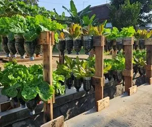 ایده های خلاقانه؛ باغچه کف حیاط نداری؟ خب با بطری های پلاستیکی آب معدنی ایستادشو بساز