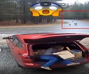 معماری طبیعت؛ خانومه نیم ثانیه تا خدابیامرز شدن فاصله داره