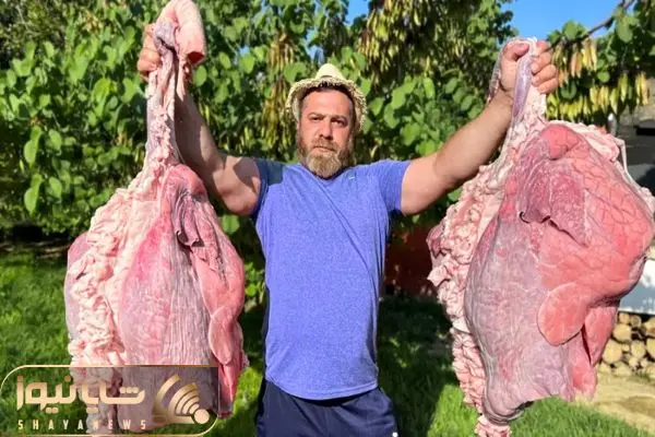 street food shayanews