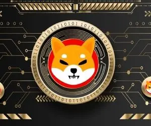 تنها راه نجات شیبااینو چیست؟!