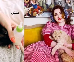 خانواده عجیب بهنوش؛ "نارنگی خان" جای شوهر مشکی کوچولو جای نی نیش!