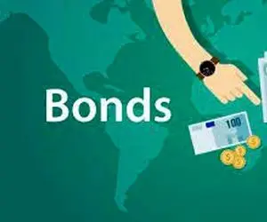 1میلیون دلار وام؛ با وثیقه ای متفاوت!