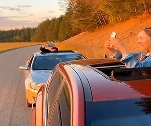 معماری طبیعت؛ خانومه داشت سلفی میگرفت که ببر از ناکجا پرید رو سرش سکته کرد