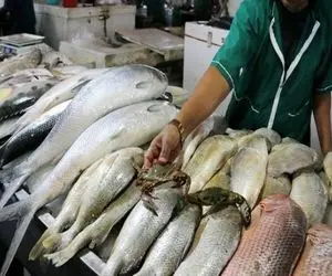 قیمت انواع ماهی امروز چهارشنبه 6 اسفند 99 