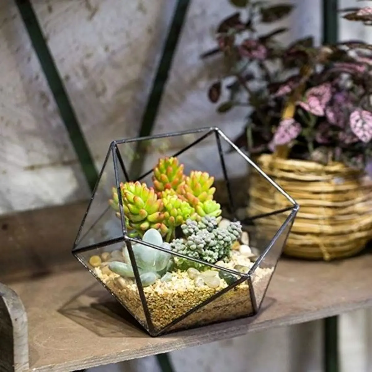 cactus-terrarium-model-18