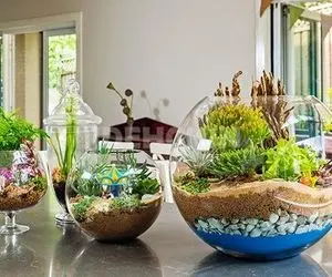 ایده های خلاقانه؛ سبزه تو تنگ رو از دور میبینی میگی یا خدا چه سخته؟ بیا آسون یادت بدم