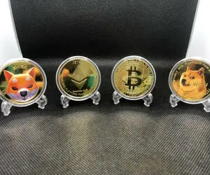 شیبا دوج و اتر به چه رتبه ای کسب کردند؟