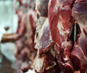 (جدول) قیمت دام زنده امروز ۶ اردیبهشت ۱۴۰۴ / خاموشی بازار ادامه دارد