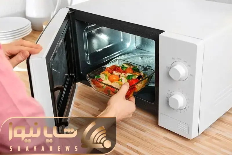 گذاشتن این جنس ظروف داخل ماکروفر اکیدا ممنوع؛ عمر خودتان و دستگاه را کوتاه میکنند