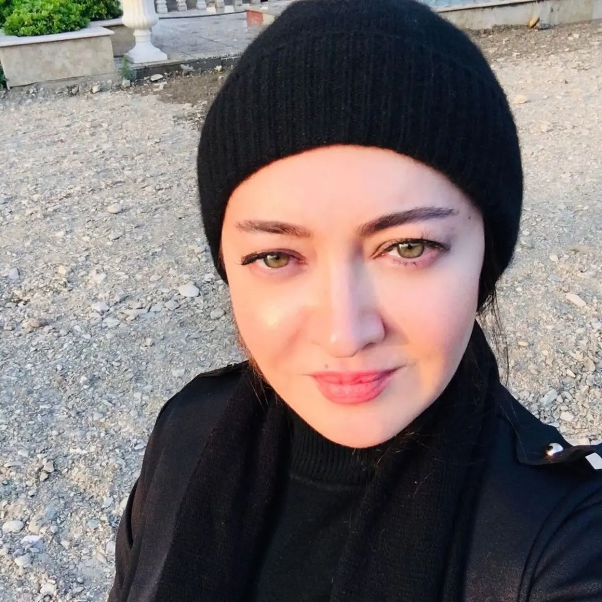 بیوگرافی نیکی کریمی