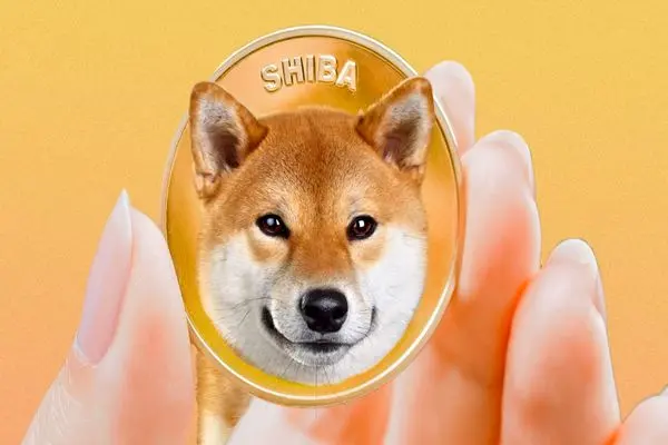 SHIBAINU
