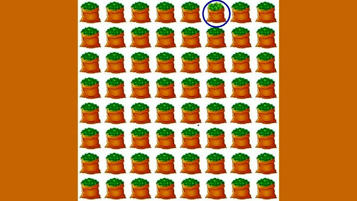 پاسخ-تست-بینایی-یافتن-کیسه-متفاوت